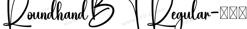 RoundhandBT Regular字体转换